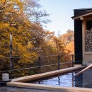 신유렌트카 | 일본 가을 온천 여행 추천 나가노현 료칸 타테시나 신유 온센 위치 객실 조식