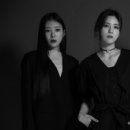 다연 인사이트