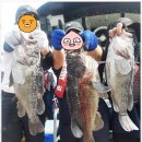 즐거운낚시 | 인천배낚시 바다에서의 즐거운 하루, 호진낚시 후기