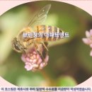 카메론 하일랜드 브린창 아파트먼트 후기: 여행객 추천 숙소
