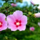 백련낚시터 이미지