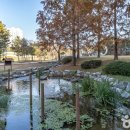 용인-구갈-구갈1 이미지