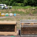 드림2농장 이미지