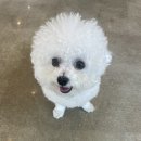 미스터 플랑크톤 촬영지 결말 줄거리 이유미 우도환 실물 오정세