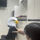 일호세탁소 | 지독한 요양중