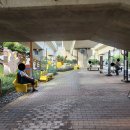 현대아파트길 이미지