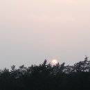 달리도 민박 이미지