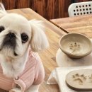 꼼지락공방 이미지