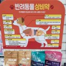 박애약국 이미지