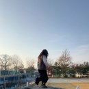 카우스톨 이미지