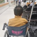 푸른메디케어 | 갑상선 수술: 업무 경계 존중 배우는 호주 공립병원 RNSH Royal North Shore Hospital