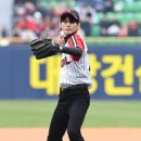 비율 스포츠조선