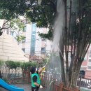 상수도사업본부 동래통합사업소 | 부산광역시 동래구 명장동 새마을 지도자 협의회 여름 병해충 모기등 지역 방역 봉사