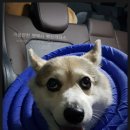 지에스25상동서해점 이미지