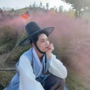 홀리몰리 이미지