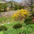 창사하천 이미지