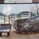 시대공원 이미지