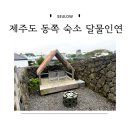 인연 - 서구 달서천로57길 40 | 제주도 동쪽 여행 월정리 숙소 에어비앤비 달물인연 후기