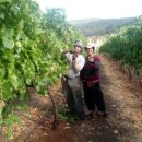 삼삼오오농장 이미지