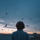 강남 공인 행정사사무소 이미지