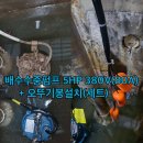 대영파워펌프대리점 | 대전 대영 파워 펌프) 배수 수중 펌프 5HP 380V 2P (80A) +오뚜기봉 설치(세트) ▶ M 센터