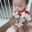 에코쿨잠 | 여름낮밤기저귀 추천 모모래빗 에코씽씽 에코드라이썸머 사용 후기