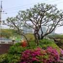 (주)우인 이미지