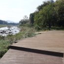 장풍숲위 이미지