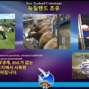 라이프라인 이미지