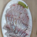 강서수산시장 회 포장 유진유통 찐 내돈내산
