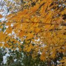 스포원스포츠센터_휘트니스 이미지