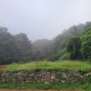 삼태농장 이미지