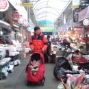 죽도시장 이미지