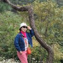 율곡수목원(3) 이미지