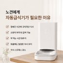 밀리브라운 | 16살 노견 자동급식기 추천│바램펫 밀리 사용후기
