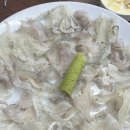 해미세꼬시 이미지