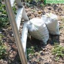 문배농장 이미지