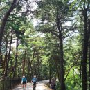 영락공원 이미지