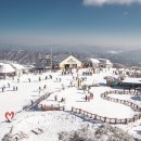 휘닉스 스노우파크 이미지