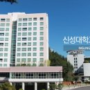 신성대학교