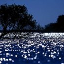 수원-1187 이미지