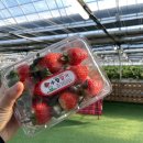 수향농장 이미지