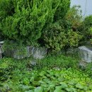 문충초등 이미지