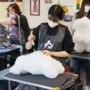 따라 애견학교 이미지