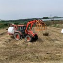 남원종자 이미지