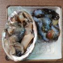 늘푸른하우스 이미지