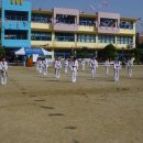 비호체육관 이미지