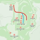 데븐퍼포먼스 | N 페스티벌 관람 후기 (인제, 2라운드)