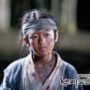 뿌리깊은 나무 이미지