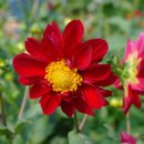 아름다운세상 이미지